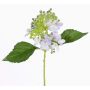 Ortensia artificiale CHABY, viola, 30cm, Ø9cm