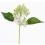 Ortensia artificiale CHABY, bianco-verde, 30cm, Ø9cm