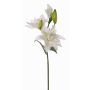 Giglio artificiale ISALIE, bianco-verde, 80cm, Ø15cm