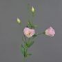 Lisianthus artificiale JUDIKA, rosa, 70cm, Ø5cm