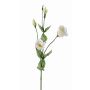 Lisianthus artificiale JUDIKA, bianco-verde, 70cm, Ø5cm