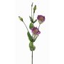 Lisianthus artificiale JUDIKA, viola-verde, 70cm, Ø5cm
