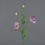 Lisianthus artificiale JUDIKA, viola-verde, 70cm, Ø5cm