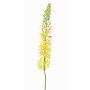 Eremurus artificiale SELINA, giallo-arancione, 105cm, Ø9cm
