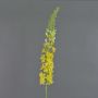 Eremurus artificiale SELINA, giallo, 105cm, Ø9cm