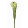Tulipano artificiale ROMANA, verde chiaro, 45cm, Ø6cm