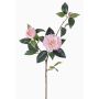 Ramo di camelia artificiale RIXA con fiori, rosa, 85cm, Ø5-10cm