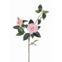 Ramo di camelia artificiale RIXA con fiori, rosa, 85cm, Ø5-10cm