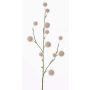 Allium artificiale EMRAH, crema, 80cm, Ø3-4,5cm