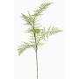 Ramo artificiale di asparagina HAYDON, verde, 85cm