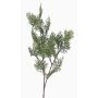 Ramo di cipresso finto FROWIN, verde, 80cm