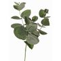Ramo di eucalipto artificiale JAMAL, verde-grigio, 25cm