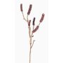 Ramo di callistemon artificiale SIRIUS con frutti, rosso scuro, 60cm