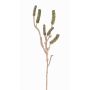 Ramo di callistemon artificiale SIRIUS con frutti, verde, 60cm