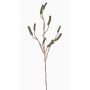 Ramo di callistemon artificiale SIRIUS con frutti, verde, 90cm