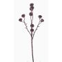 Ramo di eucalipto finto BASILIUS con frutti, marrone, 60cm