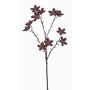 Ramo di anice stellato artificiale DELANO con frutti, marrone, 60cm