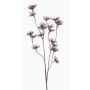 Carote selvatiche artificiali DORIAN, marrone, 65cm, Ø4cm