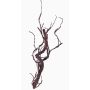 Ramo di salice artificiale JACE, marrone-rosso, 45cm