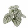 Begonia rex artificiale KATRICE su stelo, verde-grigio, 25cm
