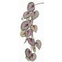 Ramo di begonia rex artificiale KATRICE, viola-verde, 110cm