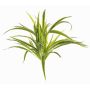 Chlorophytum comosum artificiale TASNIN su stelo, verde-bianco, 35cm, Ø40cm