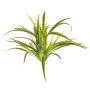 Chlorophytum comosum artificiale TASMIN su stelo, verde-bianco, 35cm, Ø40cm