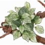 Pianta mosaico artificiale MOLARA su stelo, verde-bianco, 25cm