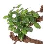 Pothos finto NAEL, stelo, difficilmente infiammabile, verde-bianco, 50cm