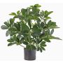 Schefflera artificiale LUKAS in vaso decorativo, verde, 55cm