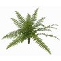 Felce di boston artificiale SASCHA su stelo, zona trasversale, verde, 25cm, Ø50cm