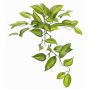 Foglie artificiali di orchidea vaniglia planifolia CHARIS, stelo, verde-giallo, 45cm