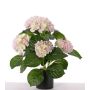 Ortensia artificiale TEMARI, bianco-rosa, 35cm, Ø10-12cm