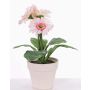 Gerbera artificiale SIMONE in vaso decorativo, rosa, 30cm, Ø9,5cm