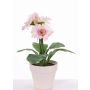 Gerbera artificiale SIMONE in vaso decorativo, rosa, 30cm, Ø9,5cm