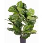 Ficus lyrata artificiale RHYS, zona trasversale, verde, 70cm