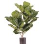 Ficus lyrata artificiale RHYS, zona trasversale, verde, 70cm
