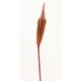 Bulbinella artificiale TALUNA, marrone-rosso, 65cm, Ø4cm