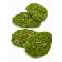 Pezzi di muschio artificiale per decorare HEFEI, 4 pezzi, verde, 11x15x15x5cm