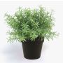 Rosmarino di plastica YANIS, verde, 20cm