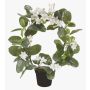 Corona di gelsomino del Madagascar artificiale ALTAY, bianco, 40cm