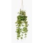 Cestino pensile di ceropegia artificiale BOLTEN, verde, 50cm