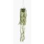 Cestino pensile di cactus corallo artificiale BOLTEN, verde, 80cm