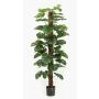 Filodendro monstera deliciosa artificiale LASO, 180cm