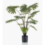 Filodendro selloum artificiale FRIO, 80cm