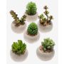 Succulente artificiali CAMBELA in vaso di cemento, 6 pezzi, multicolore, Ø6,5cm