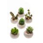 Succulente artificiali CAMBELA in vaso di cemento, 6 pezzi, multicolore, Ø6,5cm
