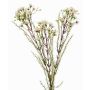 Fiore di cera artificiale MEDEA, crema, 80cm