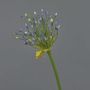 Allium artificiale KATYNA, blu, 70cm