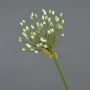 Allium artificiale KATYNA, crema, 70cm